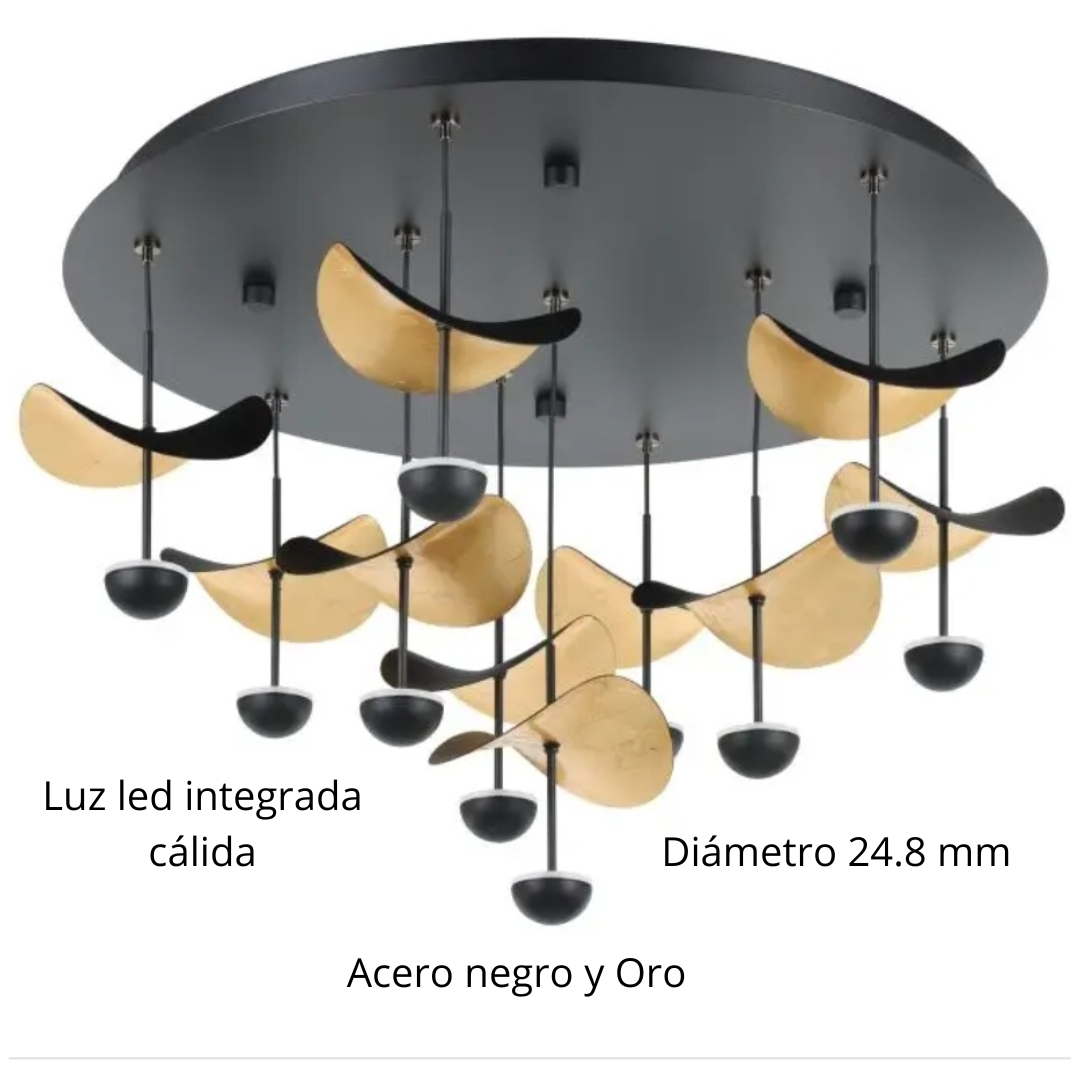 Dracera,  Luminaria de techo