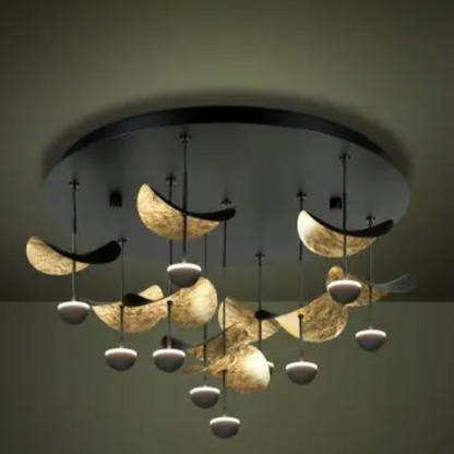 Dracera,  Luminaria de techo